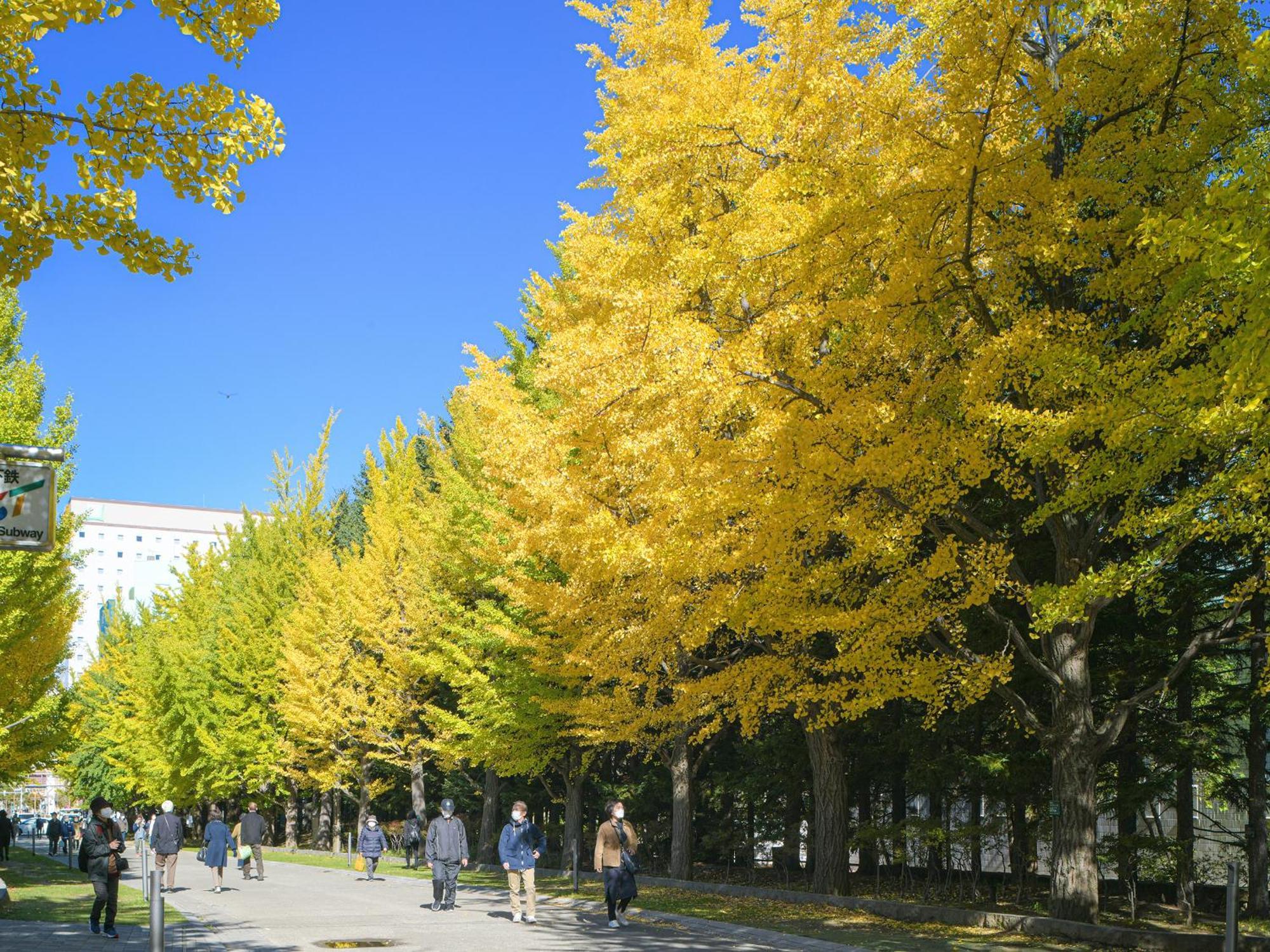 Vessel Inn Sapporo Nakajima Park Exterior foto